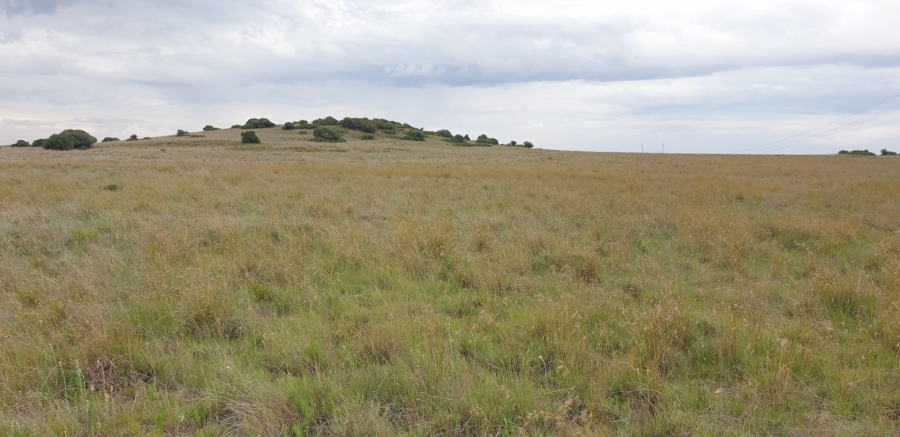 Commercial Property for Sale in Bloemfontein Rural Free State